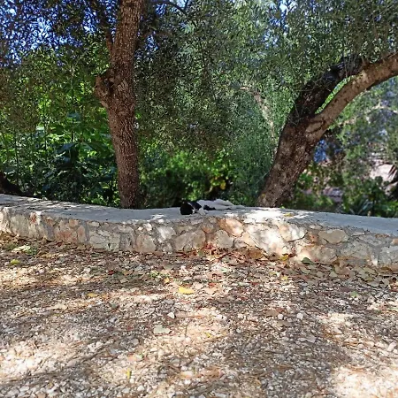Διαμέρισμα Kaminakia Apartments-adults Only -walk Into A Tranquil Oasis Where Peace & Quiet Are Woven Into Every Breath -nestled Within A Serene Evergreen Cypress Forest, Each Opens Wide To The Endless Sea And A Sunbathed Pool Awaits To Soothe Your Se *
