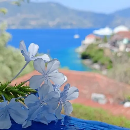 Kaminakia Apartments-adults Only -walk Into A Tranquil Oasis Where Peace & Quiet Are Woven Into Every Breath -nestled Within A Serene Evergreen Cypress Forest, Each Opens Wide To The Endless Sea And A Sunbathed Pool Awaits To Soothe Your Se Apartamento