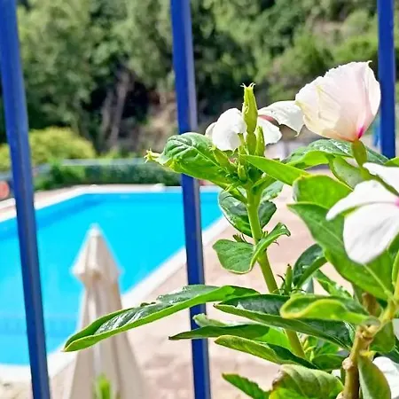 Kaminakia Apartments-adults Only -walk Into A Tranquil Oasis Where Peace & Quiet Are Woven Into Every Breath -nestled Within A Serene Evergreen Cypress Forest, Each Opens Wide To The Endless Sea And A Sunbathed Pool Awaits To Soothe Your Se