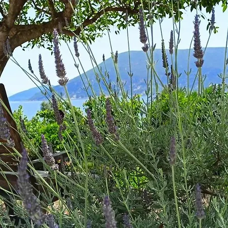 Kaminakia Apartments-adults Only -walk Into A Tranquil Oasis Where Peace & Quiet Are Woven Into Every Breath -nestled Within A Serene Evergreen Cypress Forest, Each Opens Wide To The Endless Sea And A Sunbathed Pool Awaits To Soothe Your Se Apartamento Fiskardo