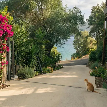 Kaminakia Adults Only Lejlighed