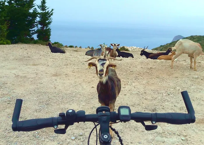 Kaminakia Adults Only * Fiskardo